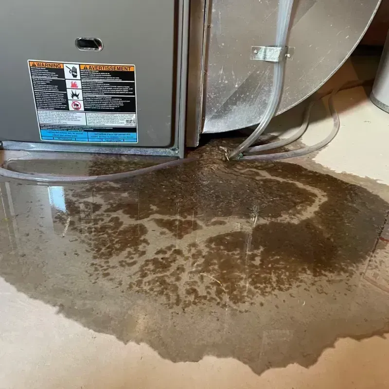 Appliance Leak Cleanup in Calhoun County, MI